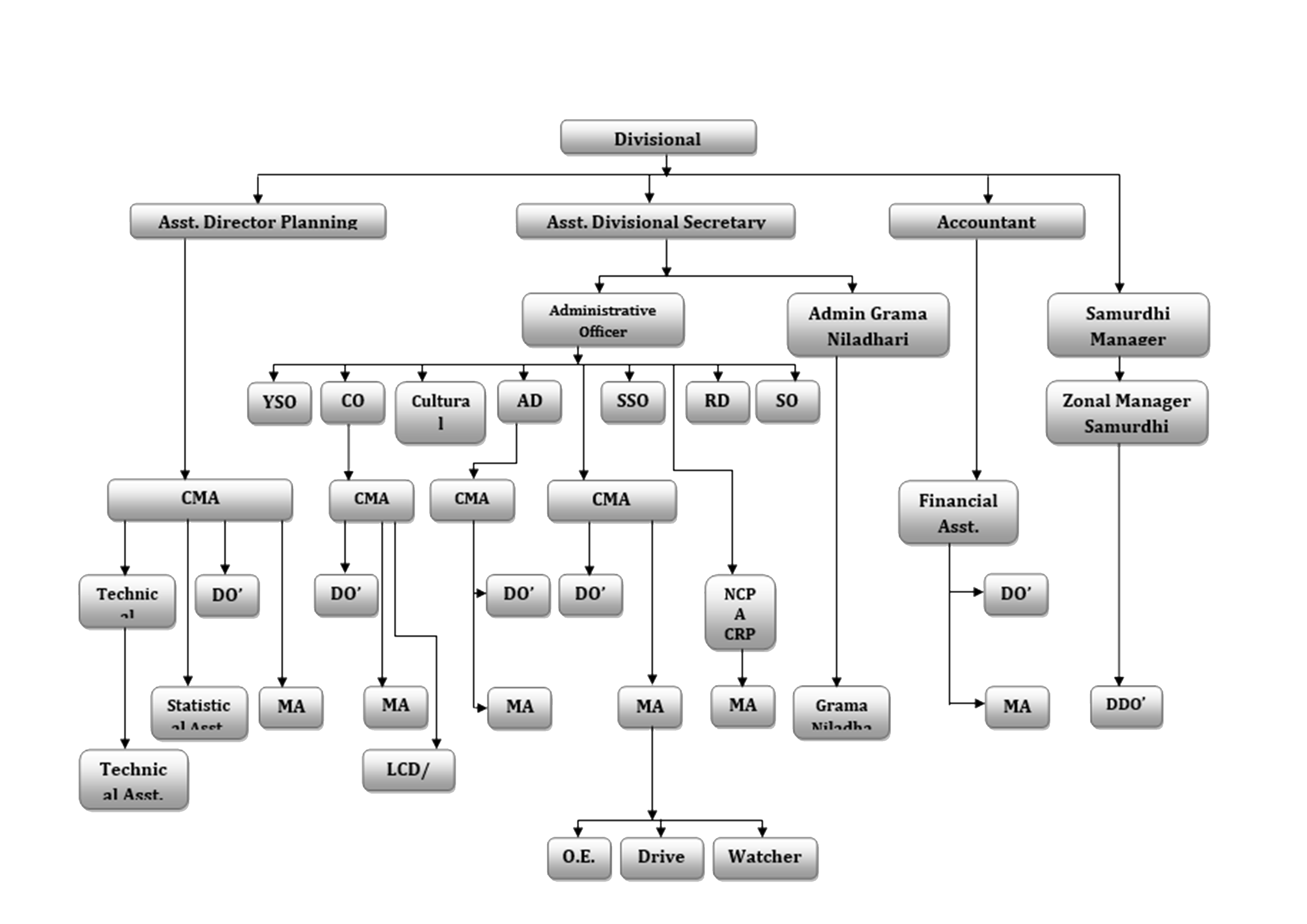 Organization Chart